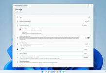 Windows 11 Android support rolling
