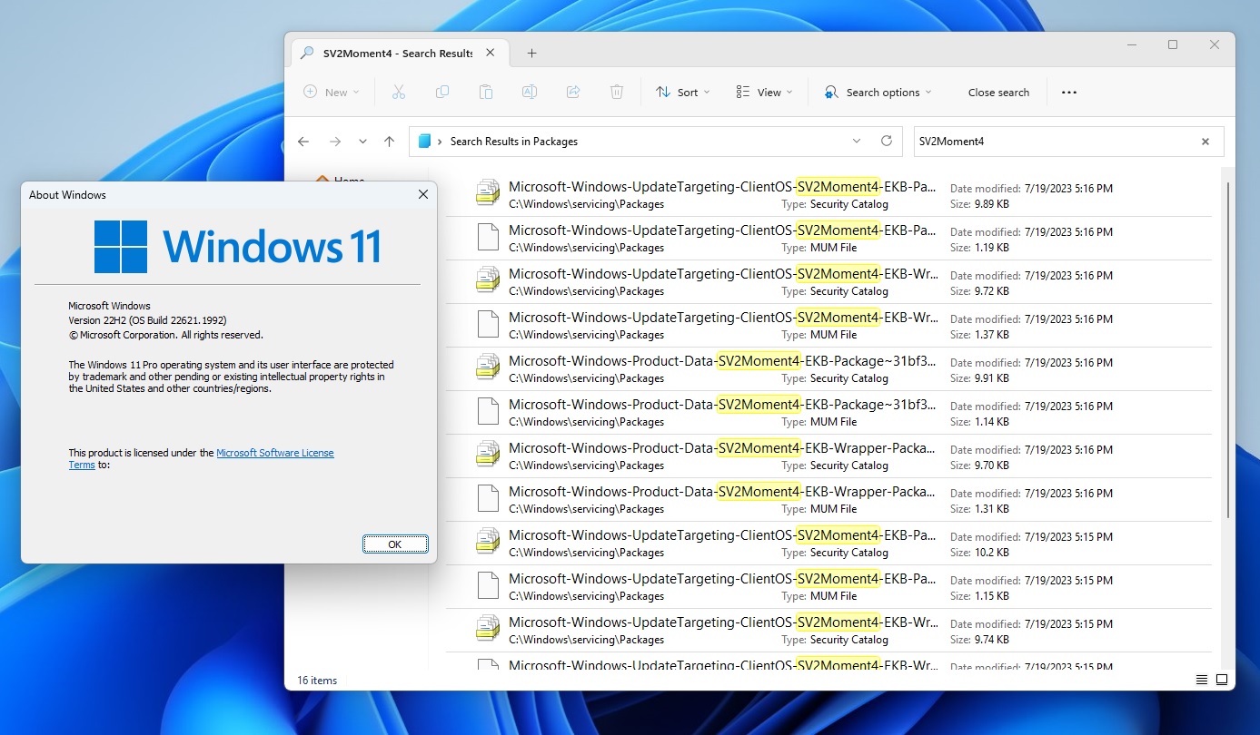 Moment 4 update package