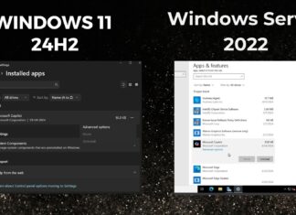 Windows 11 Microsoft Copilot package entry