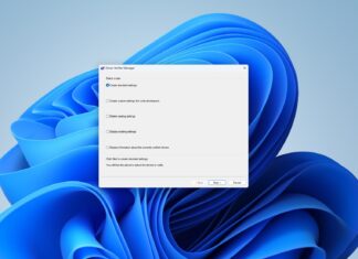 Windows Driver Verifier Manager