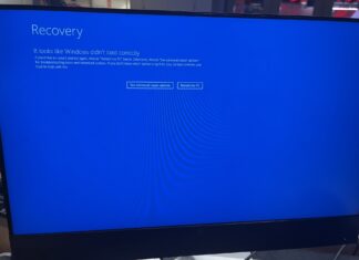 Windows 10 BSOD with Recovery Screen and It looks like Windows didn't load
