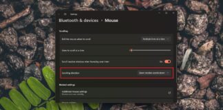 Windows 11 24H2 lets you adjust the mouse scroll wheel direction