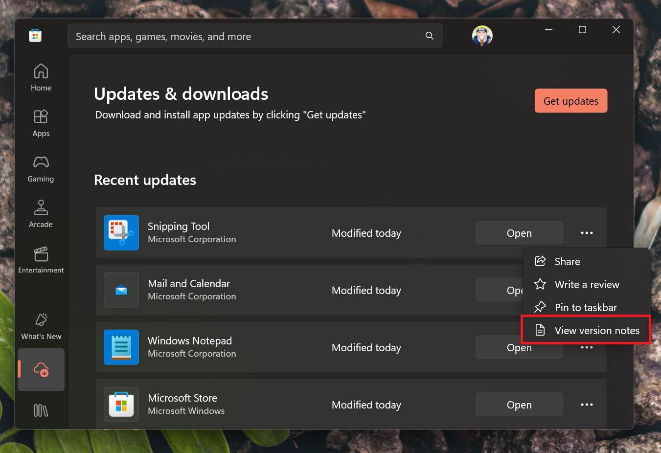 view version notes option in microsoft store windows 11