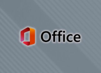 Microsoft Office 2024 LTSC support