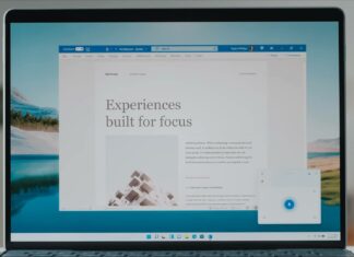 Microsoft Office for Windows 11
