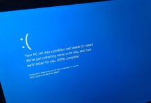 Windows 11 24H2 BSOD critical process has died