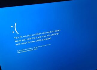 Windows 11 24H2 BSOD critical process has died