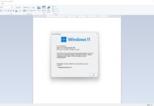 Windows 11 24H2 deletes WordPad
