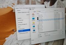 Windows 11 24H2 mouse cursor bug
