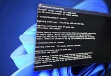 Windows 11 24H2 sfc scannow WebView2