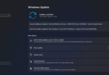 Windows 11 KB5044284 issues