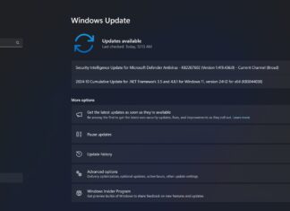 Windows 11 KB5044284 issues