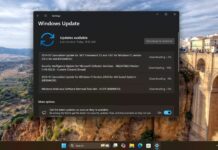 Windows 11 KB5044285 update