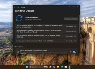 Windows 11 KB5044285 update
